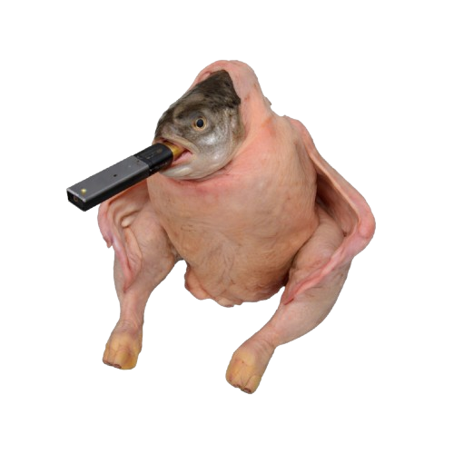 Vaping Chicken Fish
